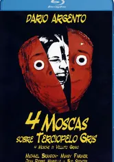 Poster 4 moscas de terciopelo gris