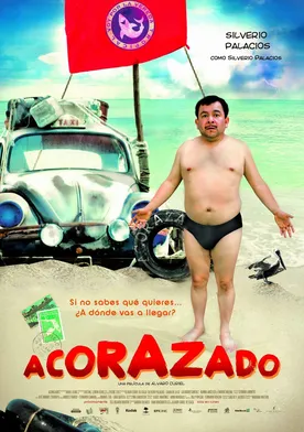 Poster de Acorazado