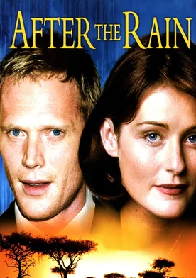 Poster de After the Rain