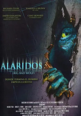 Poster de Alaridos