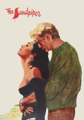 Poster de Almas en conflicto