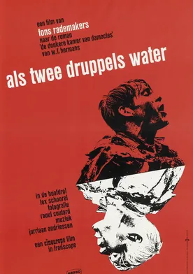 Poster de Als twee druppels water