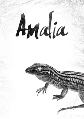 Poster de Amalia