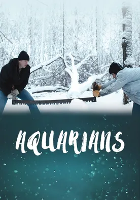 Poster de Aquarians