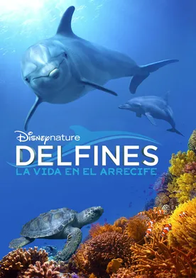 Poster de Arrecifes de delfines