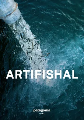 Poster de Artifishal
