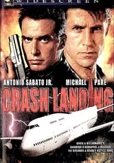 Poster de Aterrizaje forzoso