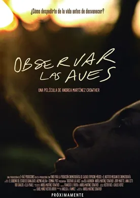 Poster de Birdwatching