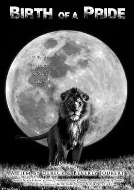 Poster de Birth of a Pride