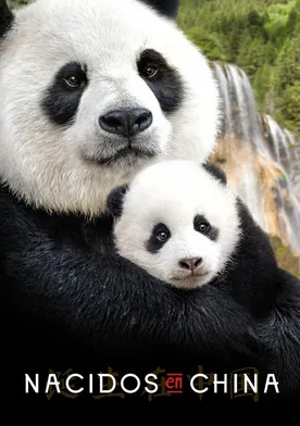 Poster de Born in China