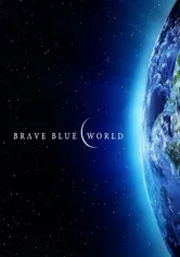 Poster de Brave Blue World