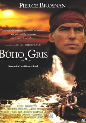 Poster de Búho gris