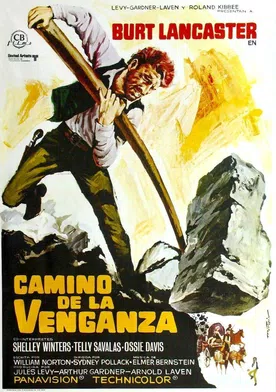 Poster de Camino de la venganza