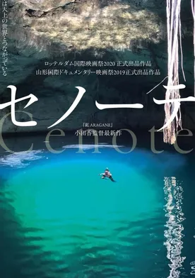 Poster de Cenote