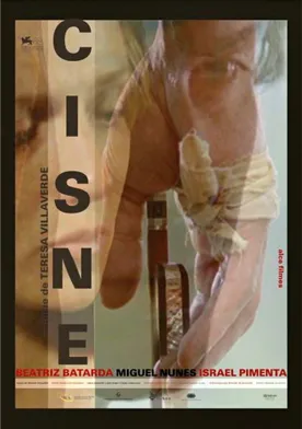 Poster de Cisne