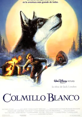 Poster de Colmillo blanco