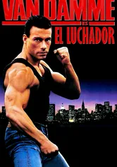 Poster de Corazón de león