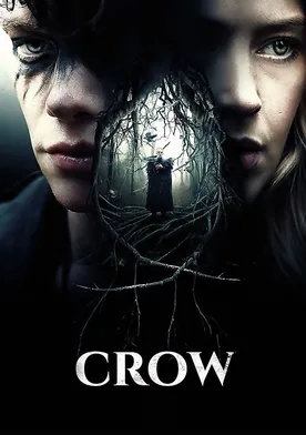 Poster de Crow