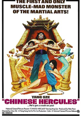 Poster de Desde China sin piedad