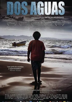 Poster de Dos aguas