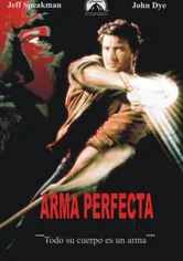 Poster de El arma perfecta