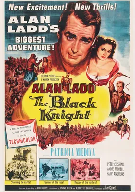 Poster de El caballero negro