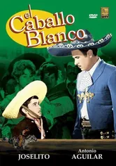 Poster de El caballo blanco
