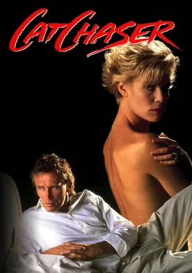 Poster de El cazador de gatos