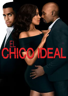 Poster de El tipo perfecto