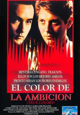 Poster de El color de la venganza