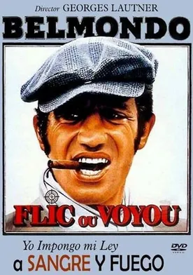 Poster de El destructor