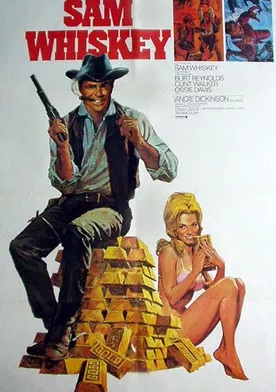 Poster de El hombre temerario