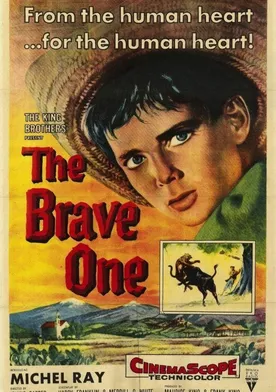 Poster de El niño y el toro