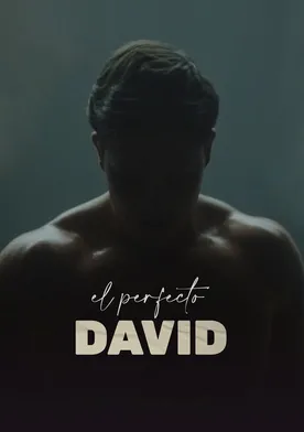 Poster de El perfecto David