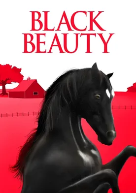 Poster de El potro negro azabache