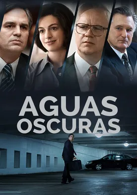 Poster El precio de la verdad
