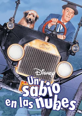 Poster de El profesor distraido