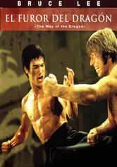 Poster de El regreso del dragón