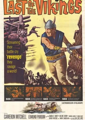 Poster de El último vikingo