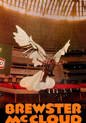 Poster de El volar es para los pájaros