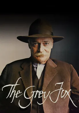 Poster de El zorro gris