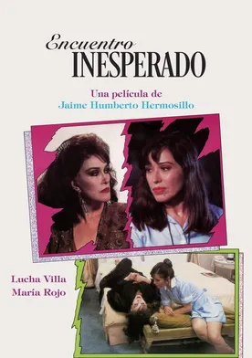 Poster de Encuentro inesperado
