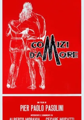 Poster de Encuesta sobre el amor