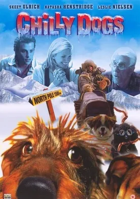 Poster de Esquía como puedas