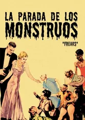 Poster de Fenómenos