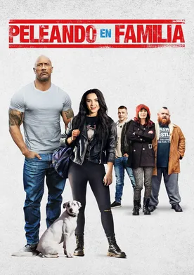 Poster de Luchando con mi familia