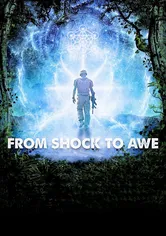 Poster de From Shock to Awe
