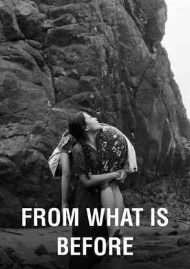 Poster de From What Is Before