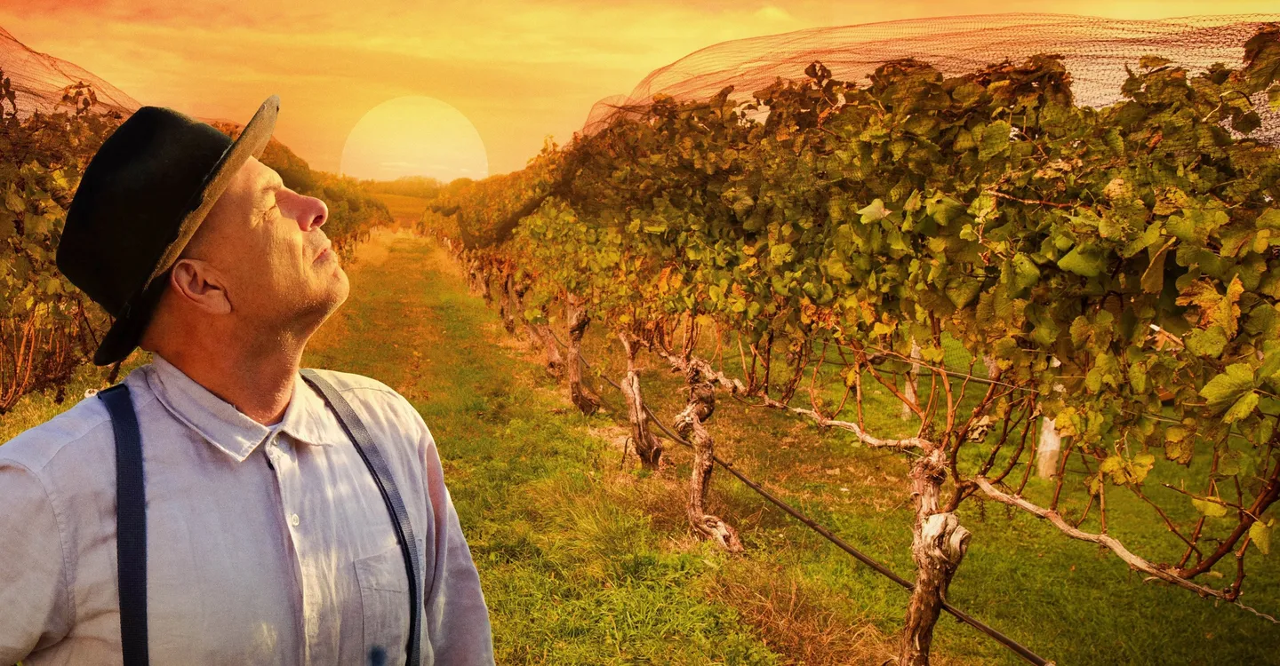 From the Vine Trailer