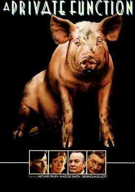 Poster de Función privada